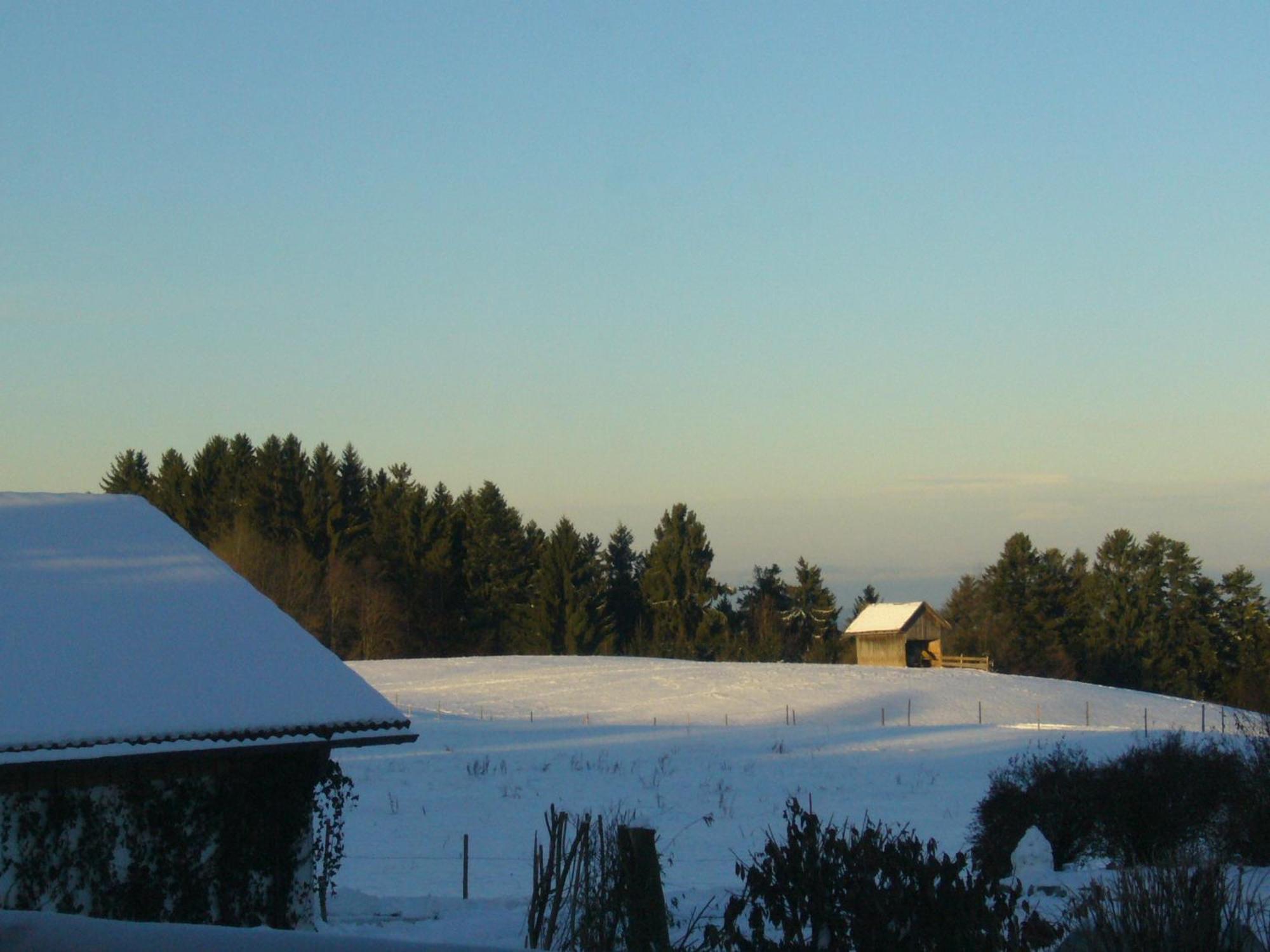 Landhotel Herzberger Garni Zimmer & Ferienwohnungen Scheidegg Dış mekan fotoğraf