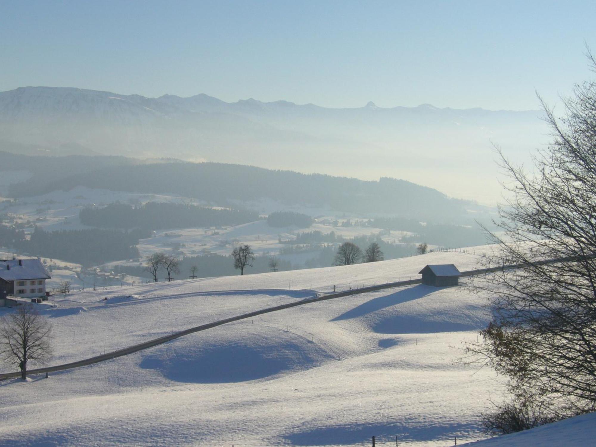 Landhotel Herzberger Garni Zimmer & Ferienwohnungen Scheidegg Dış mekan fotoğraf