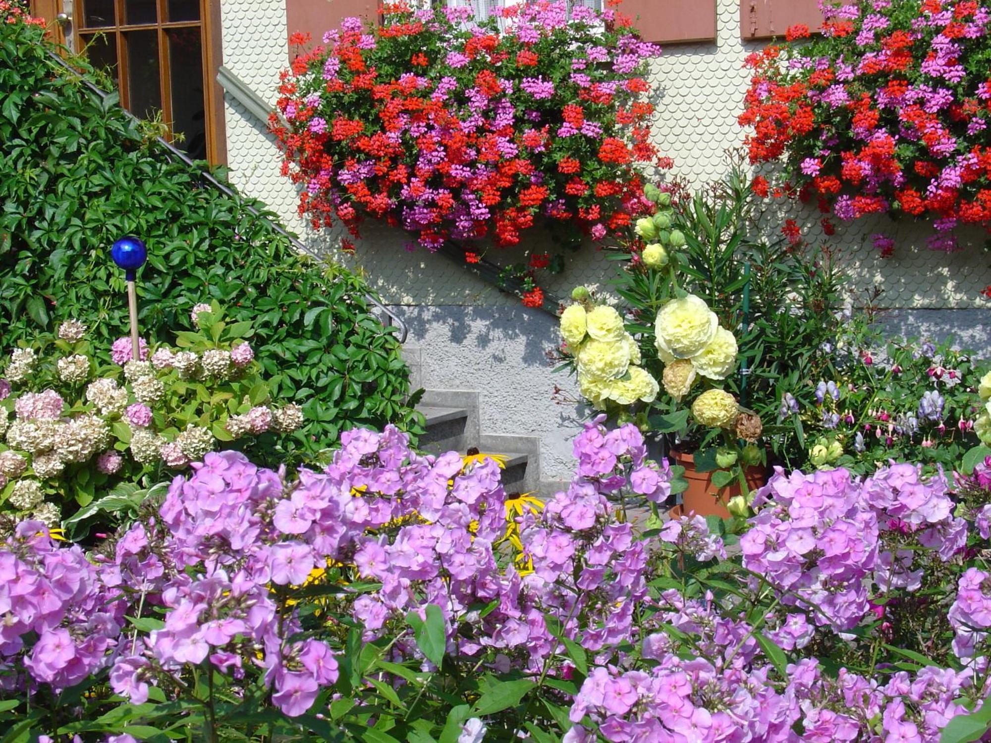 Landhotel Herzberger Garni Zimmer & Ferienwohnungen Scheidegg Dış mekan fotoğraf