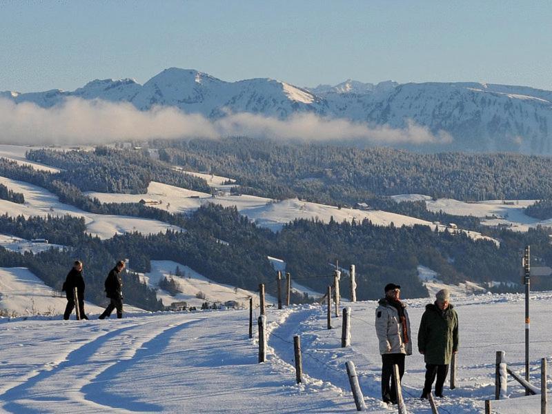 Landhotel Herzberger Garni Zimmer & Ferienwohnungen Scheidegg Dış mekan fotoğraf